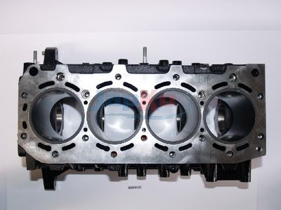 CARTER MOTOR