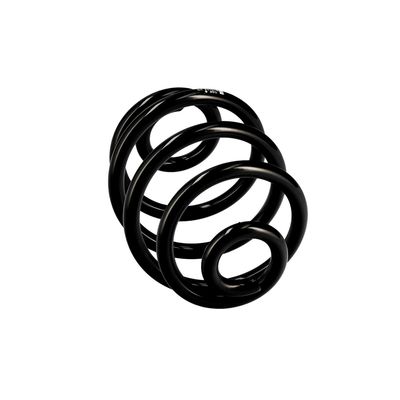 ARC SPIRAL EIBACH R10173 12