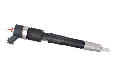 INJECTOR REMANTE 002003000031R 43