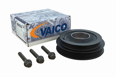 SET FULIE ARBORE COTIT VAICO V252111 1