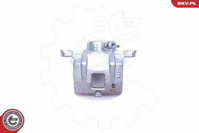 Brake Caliper 42SKV774