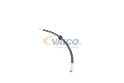 FURTUN FRANA VAICO V460285 19