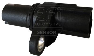 датчик, скорост EFI AUTOMOTIVE 303265