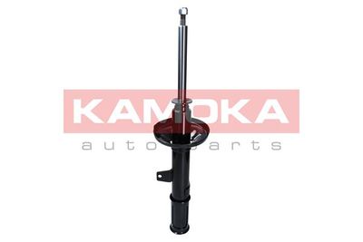 Shock Absorber 2000367