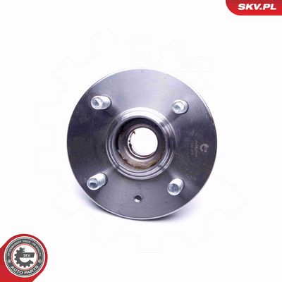 SET RULMENT ROATA ESEN SKV 29SKV204 3