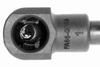 GASFEDER KOFFER-/LADERAUM VAICO V220263 1