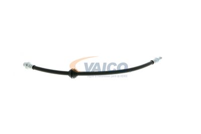 FURTUN FRANA VAICO V204107 25