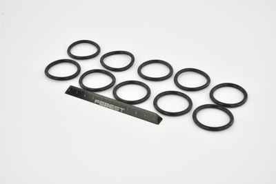 GARNITURA FLANSA LICHID RACIRE FEBEST RINGWH020PCS10 6