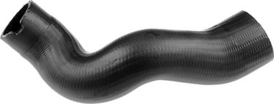 FURTUN EAR SUPRAALIMENTARE