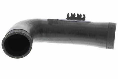 FURTUN EAR SUPRAALIMENTARE