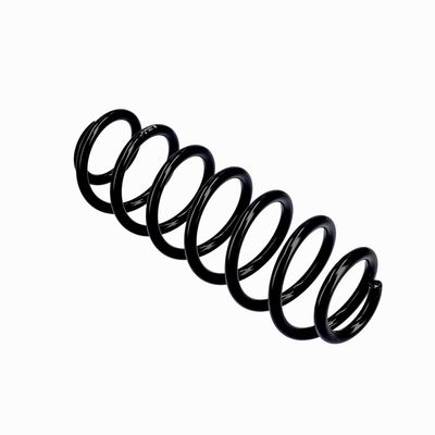 ARC SPIRAL EIBACH R10793 10