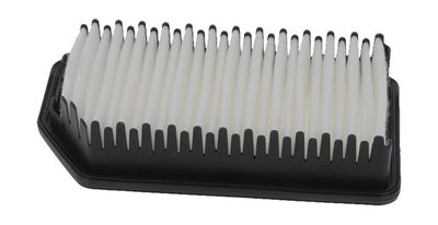 LUFTFILTER CHAMPION CAF101228P 2