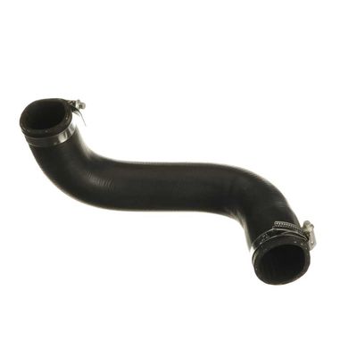 FURTUN EAR SUPRAALIMENTARE GATES 090609 27