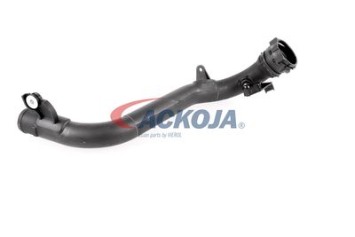 FURTUN EAR SUPRAALIMENTARE ACKOJA A380387 56