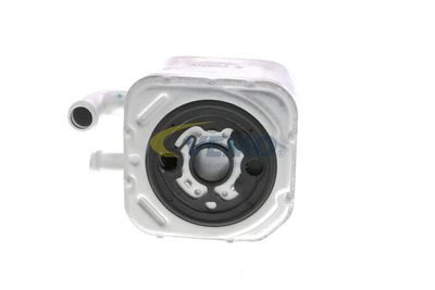 ÖLKüHLER MOTORöL VEMO V15606014 13