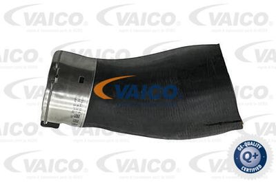 Трубка нагнетаемого воздуха VAICO V20-4368 для BMW X2