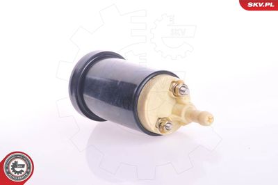 Fuel Pump 02SKV276