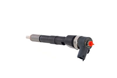 INJECTOR REMANTE 002003001391R 19