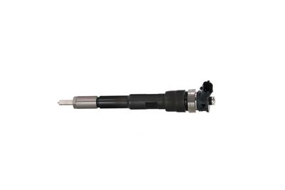 INJECTOR REMANTE 002003001494R 16