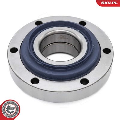 SET RULMENT ROATA ESEN SKV 29SKV703 2