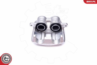 Brake Caliper 50SKV174