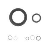 SET GARNITURI CARTER