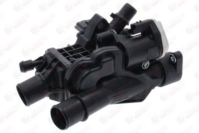 FLANSA LICHID RACIRE BIRTH 81801 12