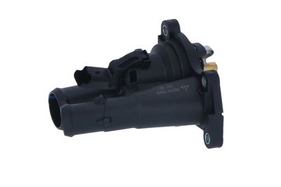 TERMOSTAT LICHID RACIRE NRF 725048 45
