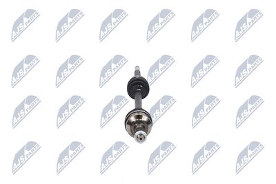 PLANETARA NTY NPWCT009 15