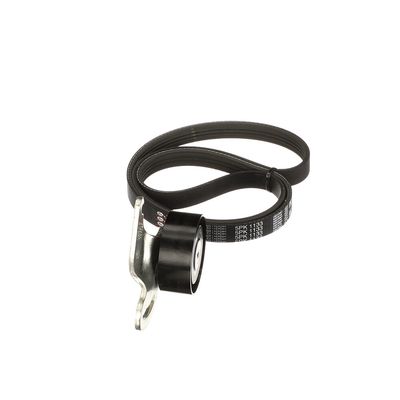 SET CUREA TRANSMISIE CU CANELURI GATES K025PK1133 44