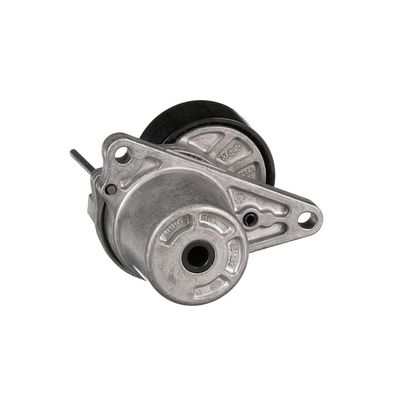 INTINZATOR CUREA CUREA DISTRIBUTIE GATES T39251 14