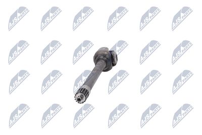 PLANETARA NTY NPWCH181 15