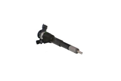 INJECTOR REMANTE 002003001494R 53