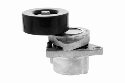 INTINZATOR CUREA CUREA DISTRIBUTIE