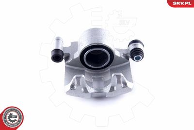 Brake Caliper 50SKV932