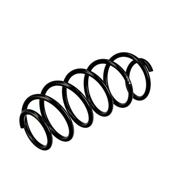 ARC SPIRAL EIBACH R10255 16