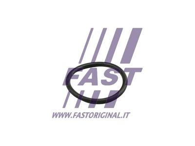 Pierścień uszczelniający, przewód sztywny płynu chłodzącego FAST FT49919