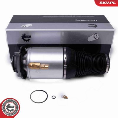 ARC PNEUMATIC DIRECTIE ESEN SKV 58SKV077