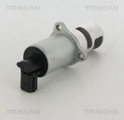 Zawór AGR TRISCAN 8813 10100