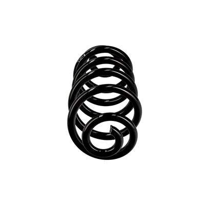 ARC SPIRAL EIBACH R10114 13