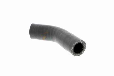 LADELUFTSCHLAUCH VAICO V240631 2