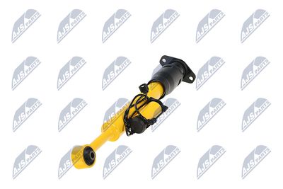 AMORTIZOR NTY ACH124 19