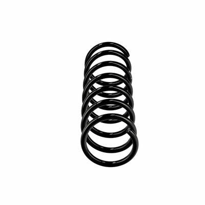 ARC SPIRAL EIBACH R10838 13