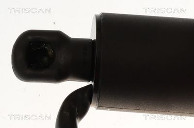 Plynárenská vzpera (pneumatická pružina), zavazadlový priestor TRISCAN 8710 23317