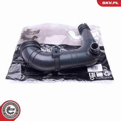 FURTUN EAR SUPRAALIMENTARE