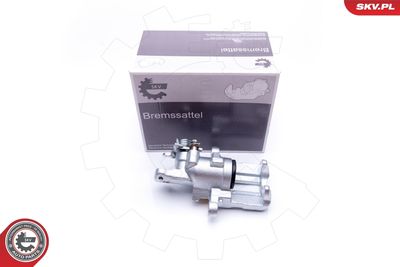 Brake Caliper 23SKV093