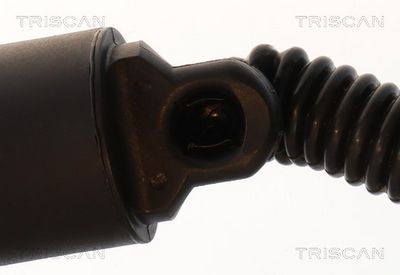 Plynárenská vzpera (pneumatická pružina), zavazadlový priestor TRISCAN 8710 29328