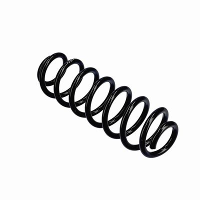 ARC SPIRAL EIBACH R21213 10