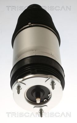 ARC PNEUMATIC DIRECTIE TRISCAN 872081101 2