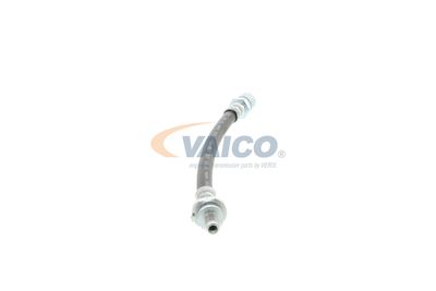 FURTUN FRANA VAICO V404107 48